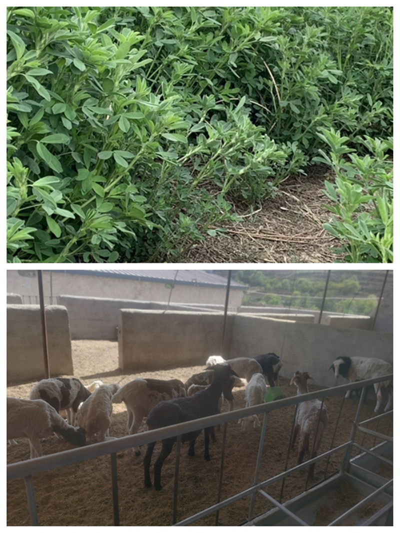 202005221590131240966708.jpg e8b071e1-9bb2-4701-9688-f3829174502a.jpg