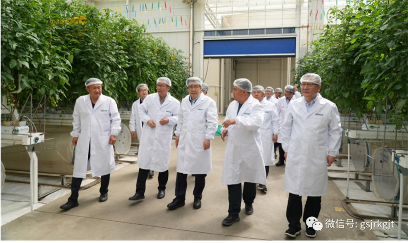 大興調(diào)研 | 雷鐵一行赴張掖、金昌、武威調(diào)研