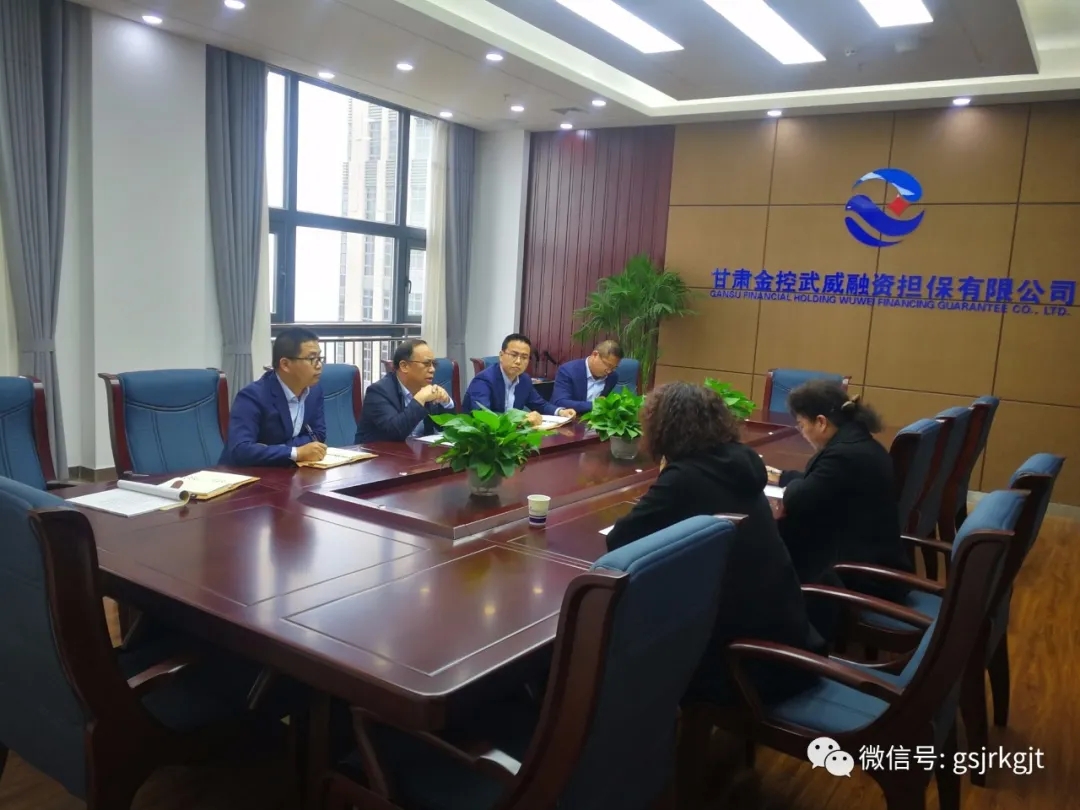 筑牢風(fēng)控底線 推動風(fēng)險化解金控武威擔(dān)保開展融資項目“回頭看”
