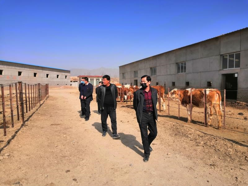 202003301585550140750474.jpg 1.jpg